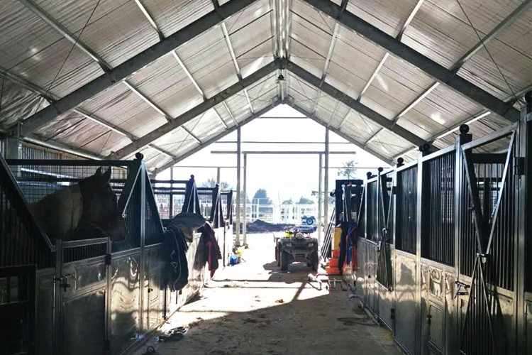 Prefabricated Steel Structure Buidling For Horse Riding Arenas