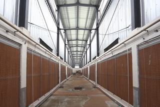 Prefabricated Metal Structure Solution For Agriculture Steel Buildings
