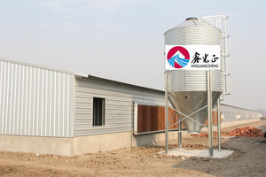 Prefab Layer Chicken Birds Farm With Automatic Poultry Equipment