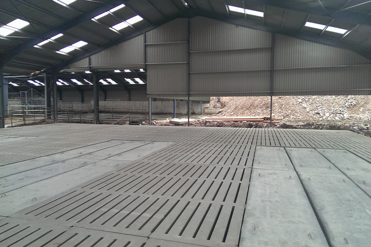 Steel Structure Shed For Cattle Farm with Galvanized Cattle Pen Buy