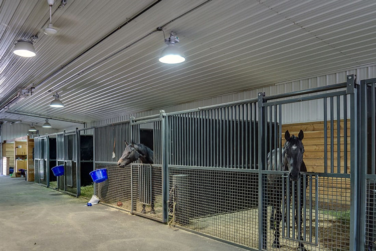 Prefabricated Steel Structures For Equestrian Building